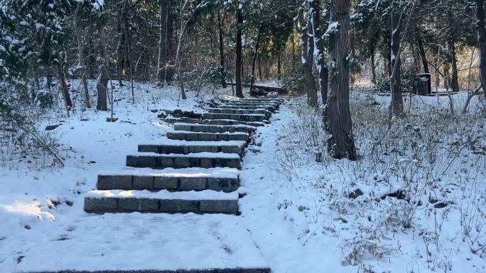 济南佛慧山步道雪景