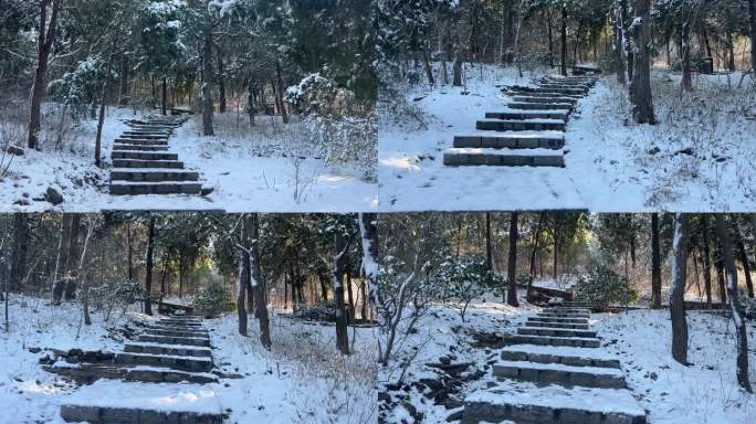 济南佛慧山步道雪景