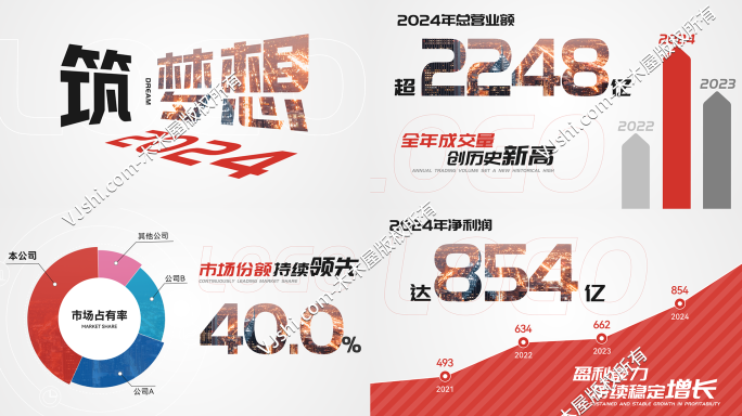 2024企业年报财务数据展示
