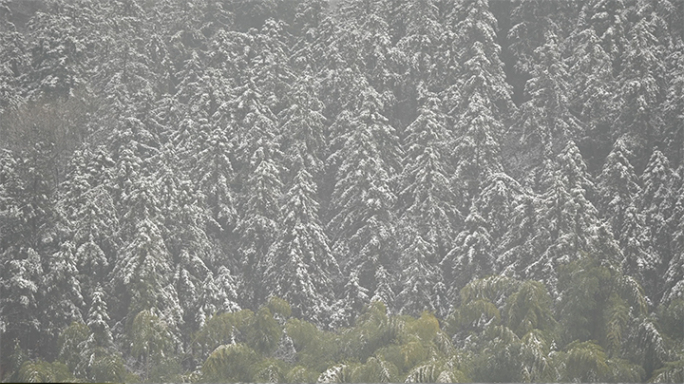 大别山雪景4k50p