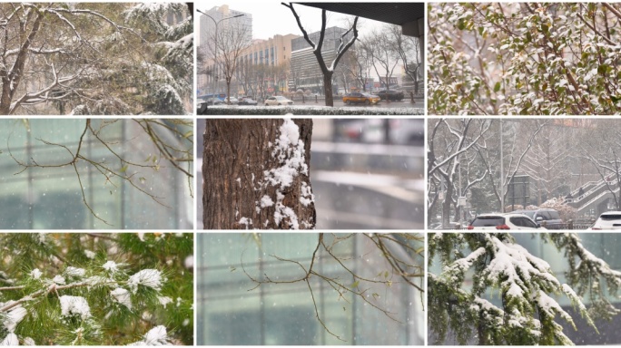 冬天城市下雪 下雪树木 雪花唯美空镜