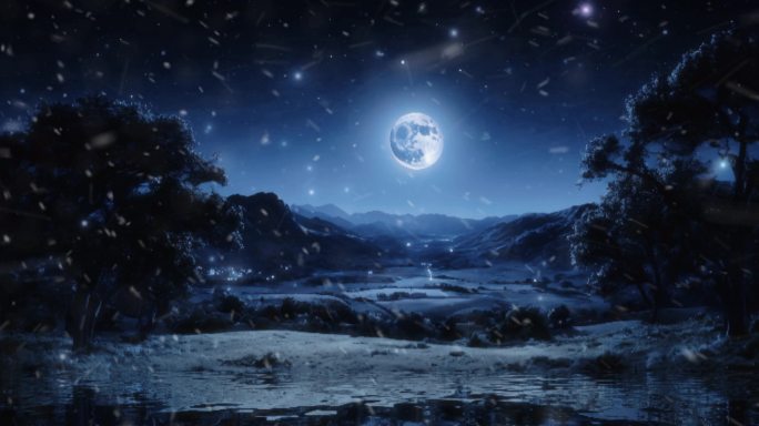 小雪夜晚月下的植被自然视频素材