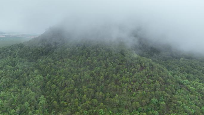 航拍森林山顶被云雾覆盖火山口云层腾冲