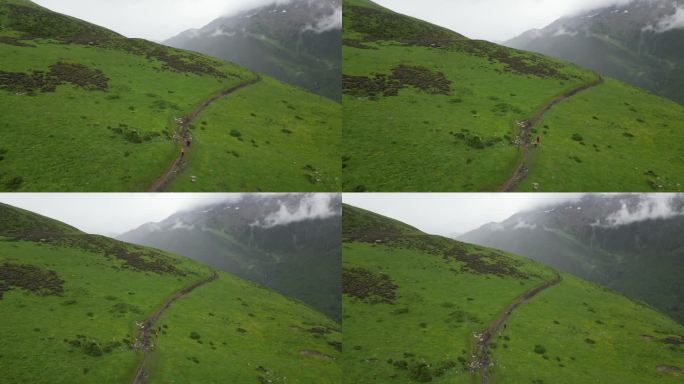 四姑娘山航拍4K素材