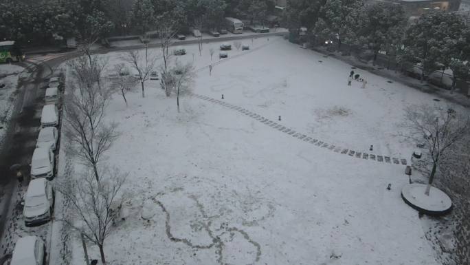 南京农业大学飞雪天气航拍