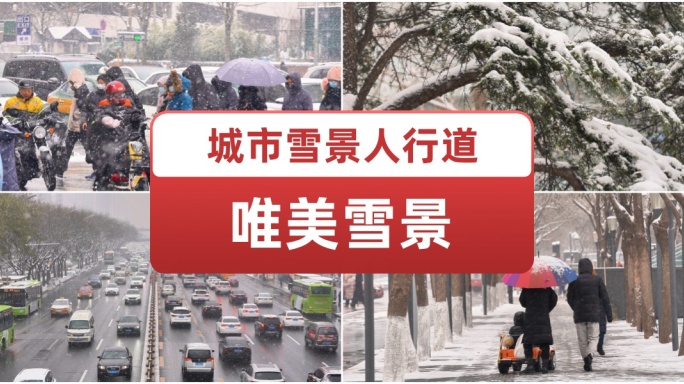 城市下雪出行 斑马线行人公交车雪中行驶