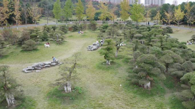 武汉江夏藏龙岛国家湿地公园航拍2