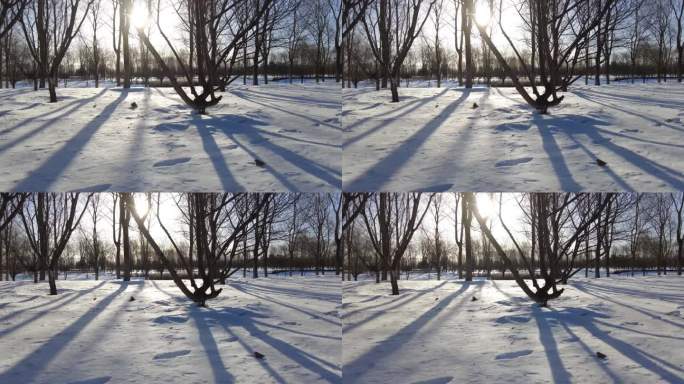 冰天雪地光影变化雪后白雪皑皑雪景冬季雪地