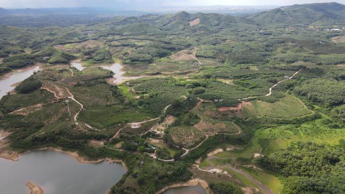 沉香基地航拍