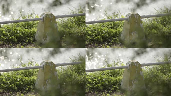 台湾台北滨河公园河边绿草坪