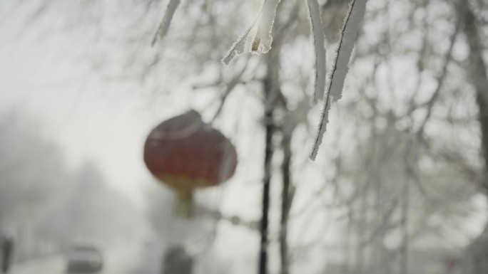 东北吉林雪乡树枝上的雾凇特写镜头