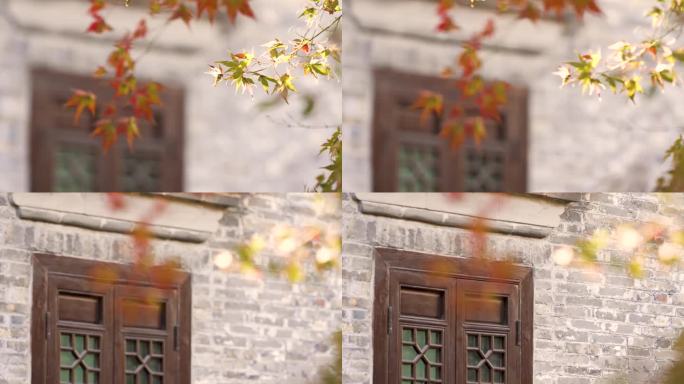 原创秋天的古街，老式木窗，枫叶