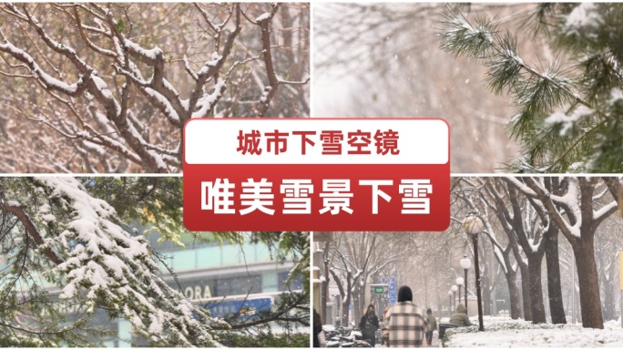 冬天下雪 唯美雪景 雪花升格 城市空镜