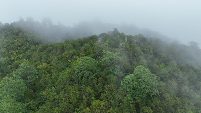 航拍云雾覆盖的火山口退出镜头无人机飞出