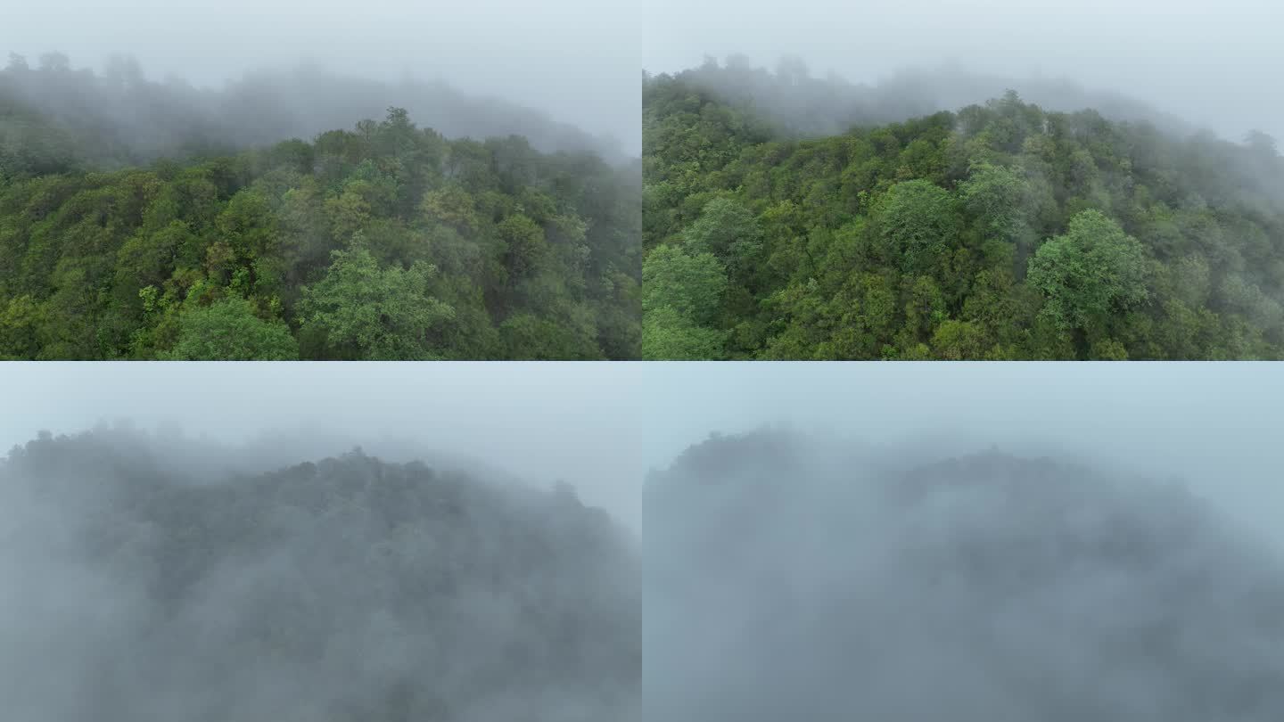 航拍云雾覆盖的火山口退出镜头无人机飞出