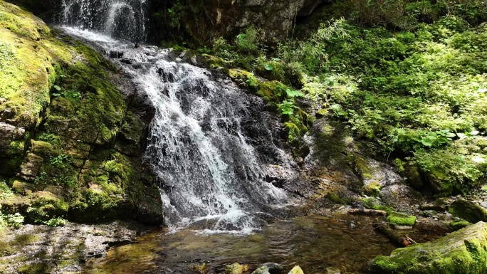 大山深处原始森林热带丛林河流小溪