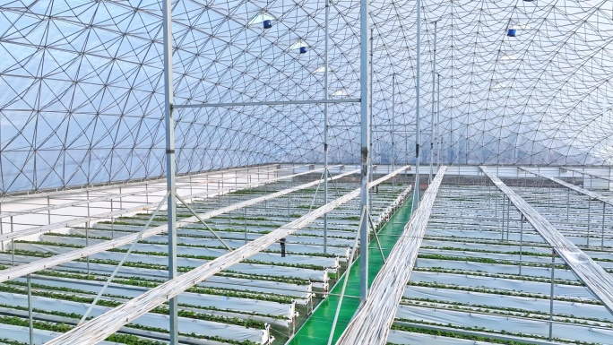 4k科技农业现代化温室大棚绿色智慧农业