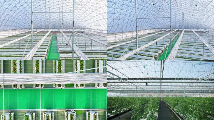 4k科技农业现代化温室大棚绿色智慧农业