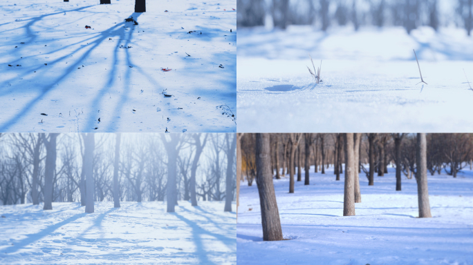 冬天雪地空镜