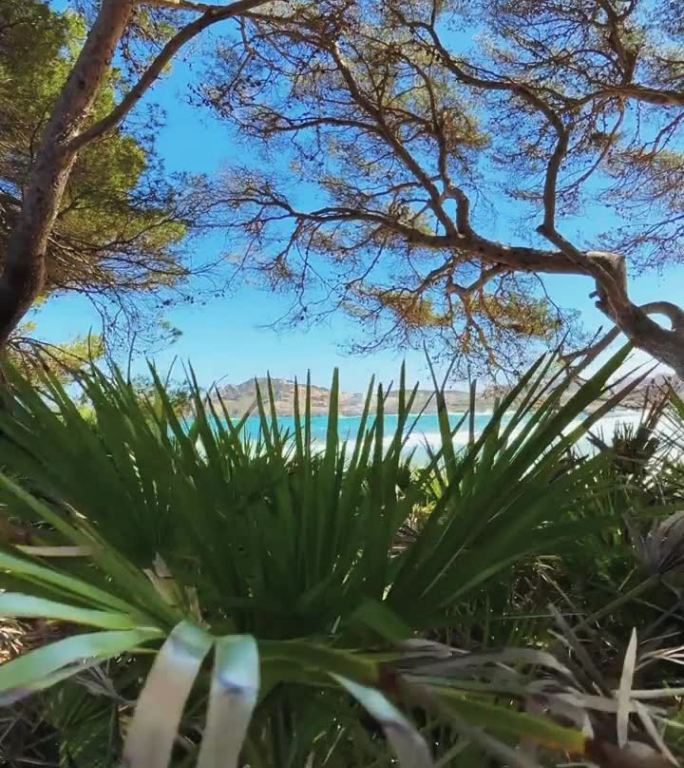 在一个阳光明媚的夏日，马略卡岛加勒比天堂海岸线的景色。垂直视频的故事和卷轴