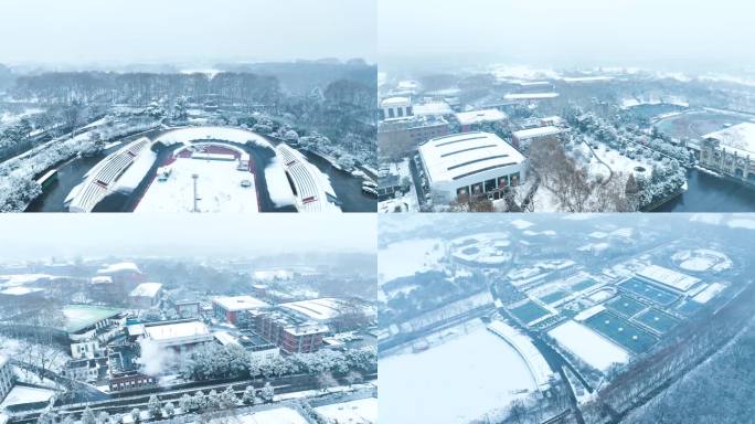 南京体育学院雪景