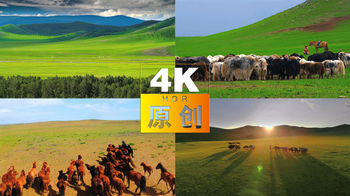 草原蒙古包天然牧场清新自然