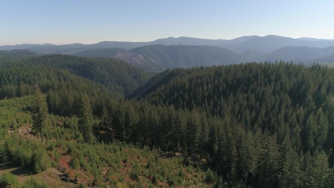 俄勒冈森林从砍伐中恢复-白痴溪空中