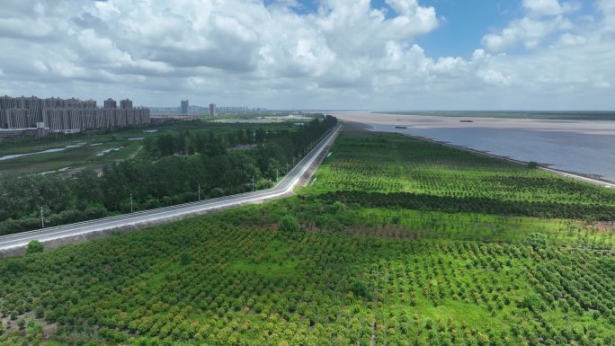 海门 沿江 风光   长江沿线 江堤