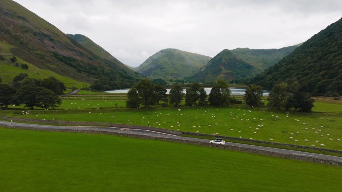 白色的电动汽车驶过一片绿色的草地，白色的绵羊在美丽的湖边吃草