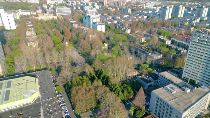 南京市玄武区南京林业大学校园风景航拍