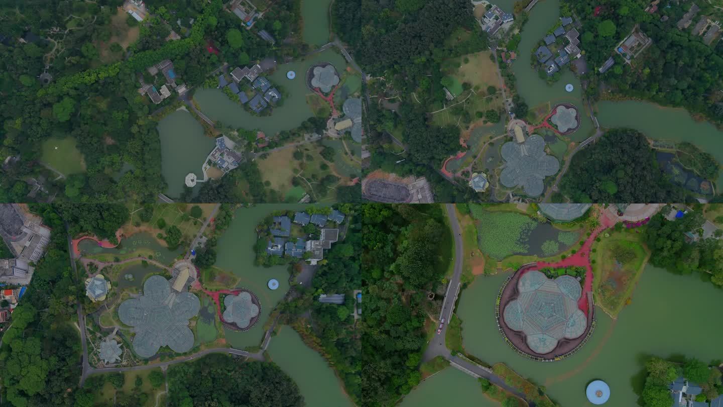 广州航拍华南植物园航拍4K分辨率多段素材