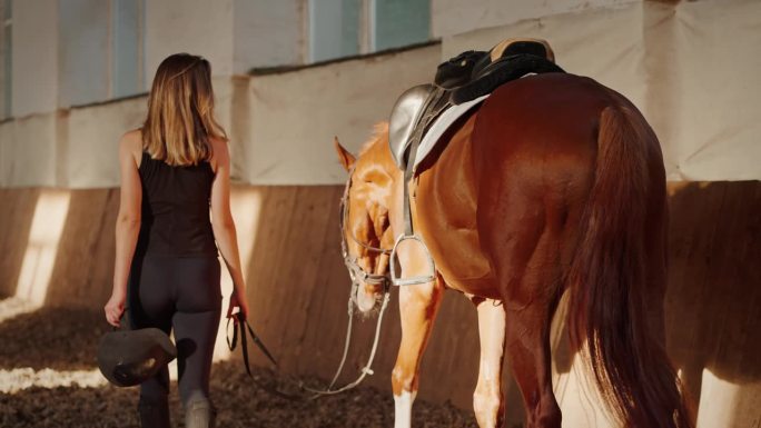 女子牵着友好的马，牵着长长的皮带沿着竞技场