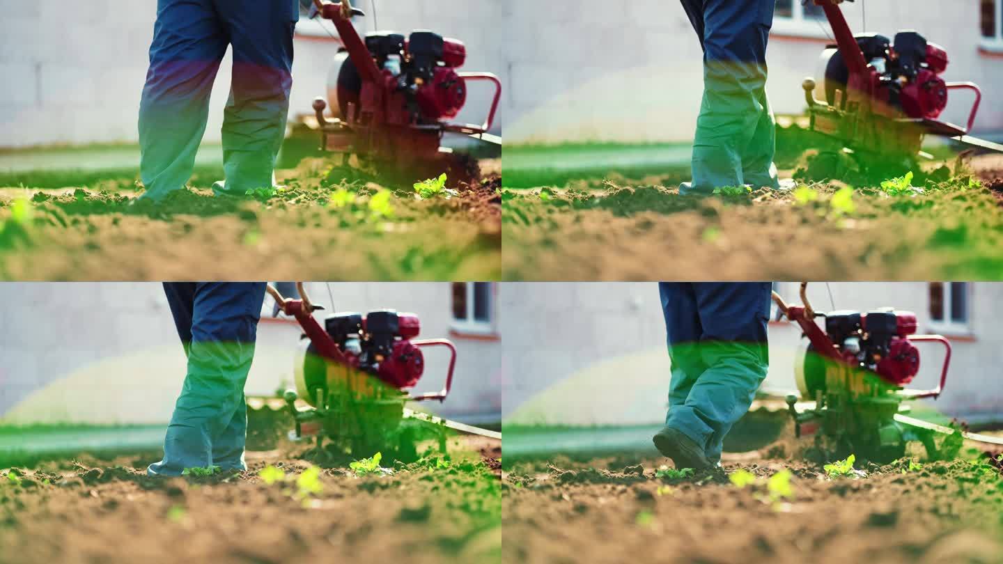 家农业。(特写)一位农民在花园里用汽油犁犁地。农学家操纵双轮拖拉机在人工林土壤上犁地。手动电动犁抛土