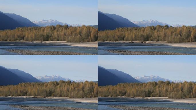 在布拉肯代尔的鹰跑远景点，秋天的斯夸米什河的美丽景色