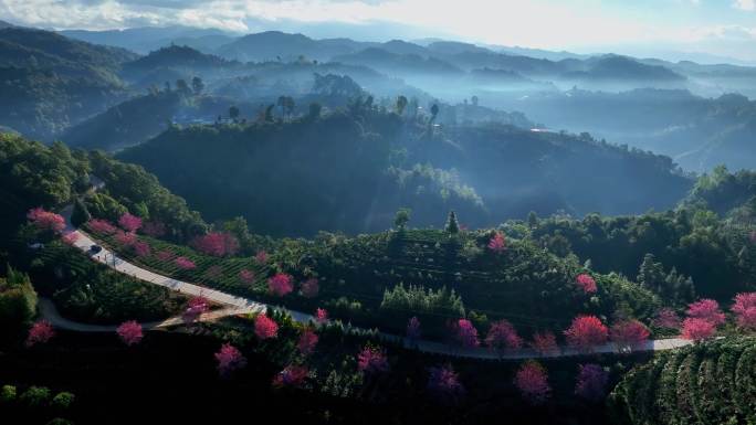 樱花围绕山川鸟瞰   航拍