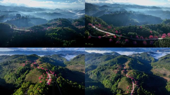 樱花围绕山川鸟瞰   航拍