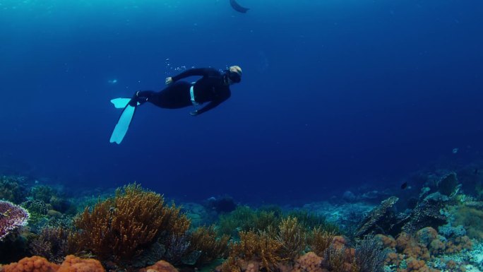 一名身穿黑色潜水服的女子屏住呼吸潜水，探索印度尼西亚鲜艳的珊瑚礁