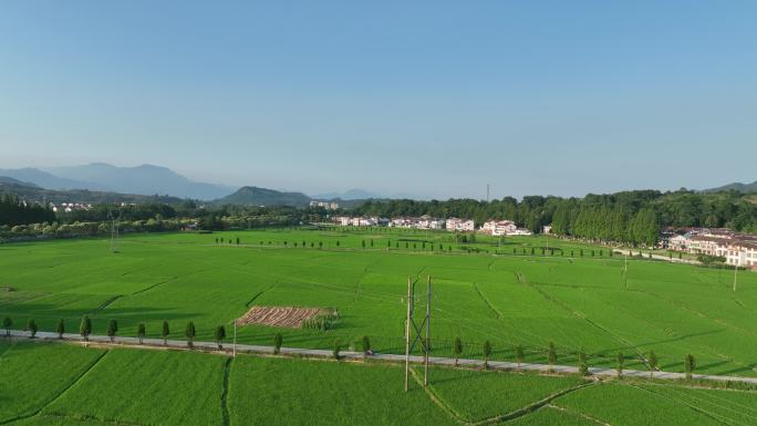 航拍陕西汉中勉县山区绿色农田稻田乡村风景