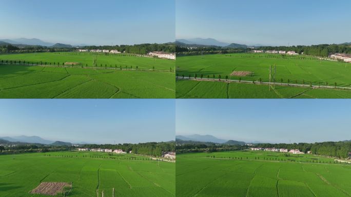 航拍陕西汉中勉县山区绿色农田稻田乡村风景