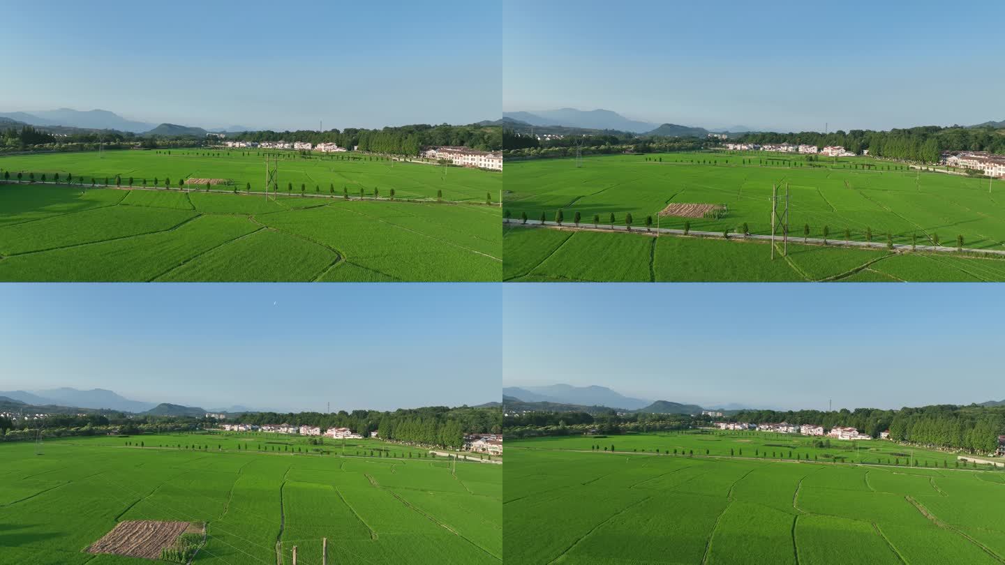 航拍陕西汉中勉县山区绿色农田稻田乡村风景