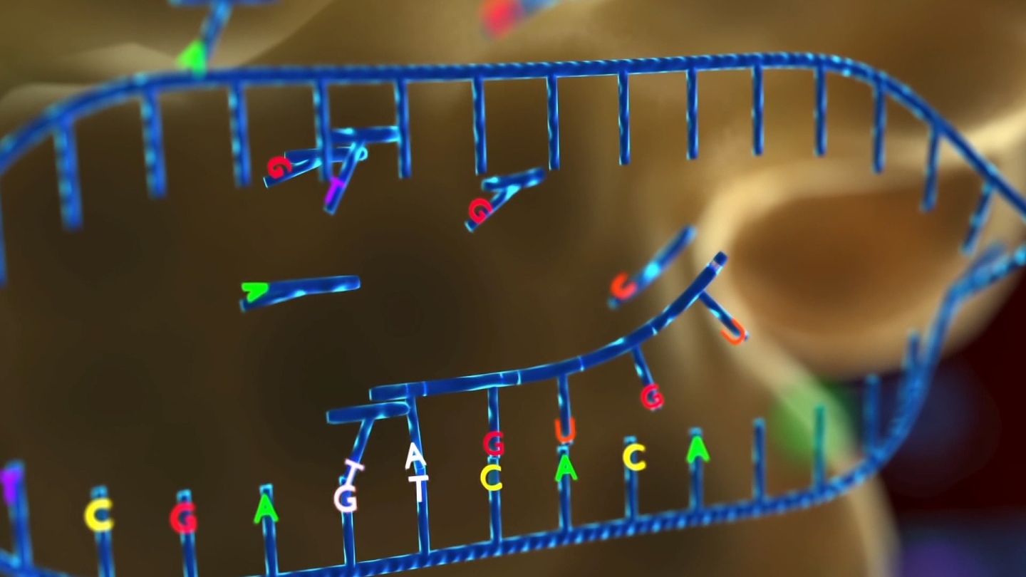 完整基因螺旋体dna合成三维动画
