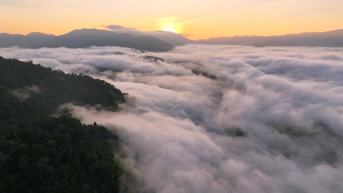 空中无人机拍摄的早晨有很多雾和薄雾的雨林，哈拉巴拉野生动物保护区是泰国的保护区之一。被称为亚洲的亚马