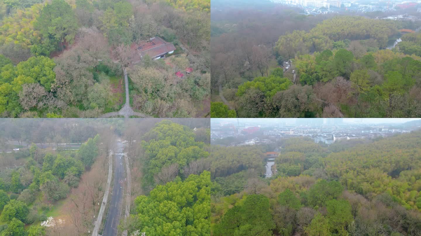 杭州植物园春天风景视频素材40