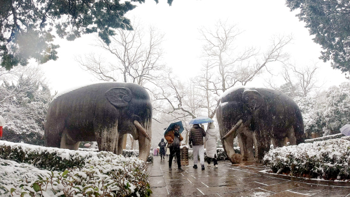 石象路雪景延时