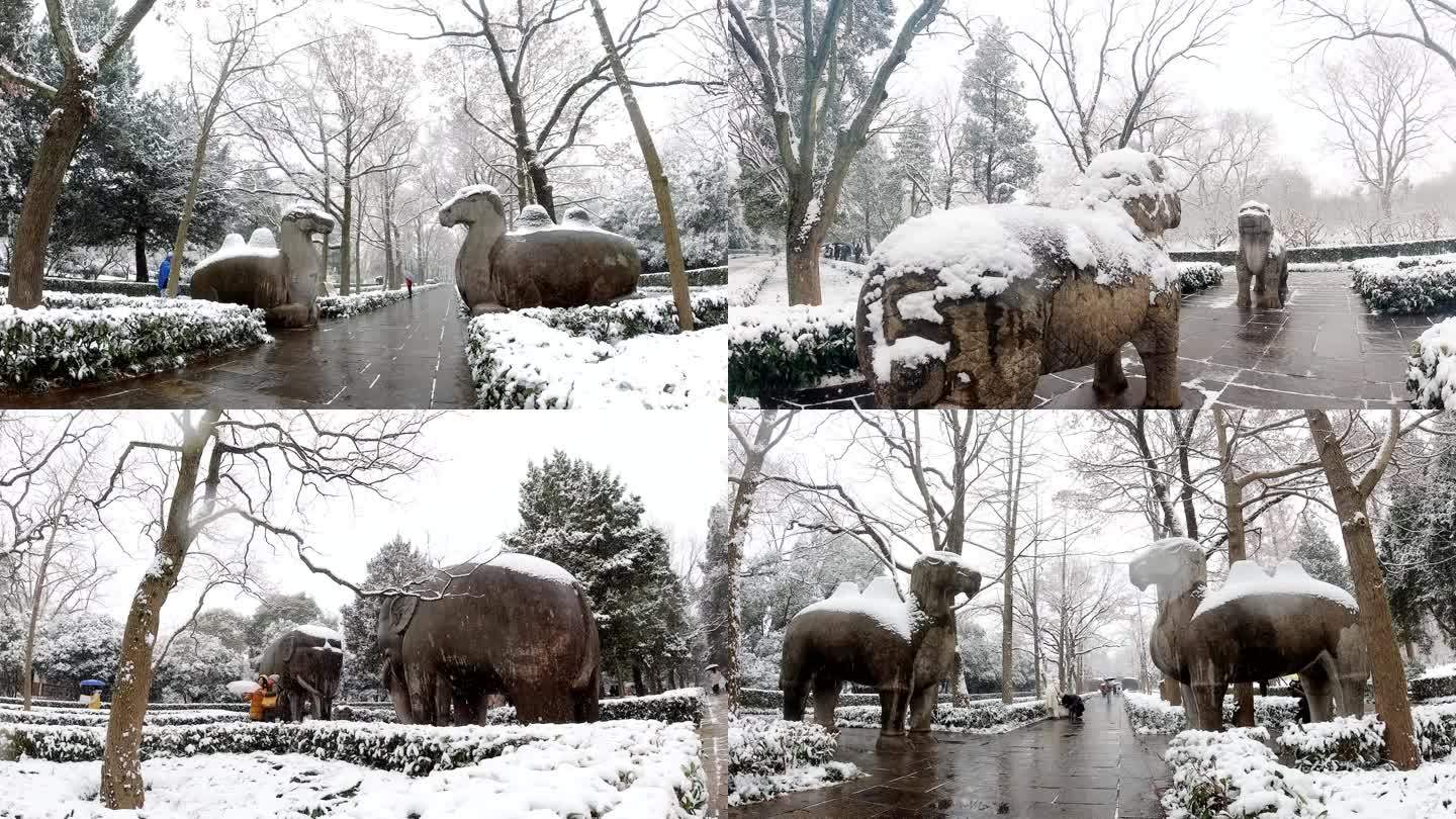 石象路雪景延时