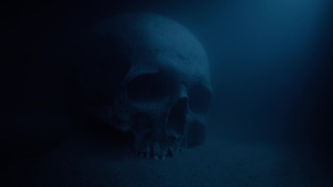 黑暗中水下的头骨水里骨头