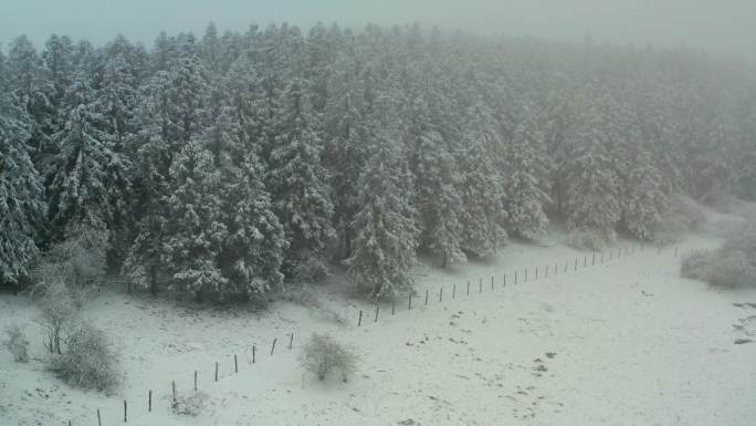 重庆仙女山雪景