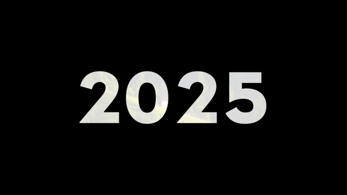 2025-图片快速切换汇聚年份数字增长