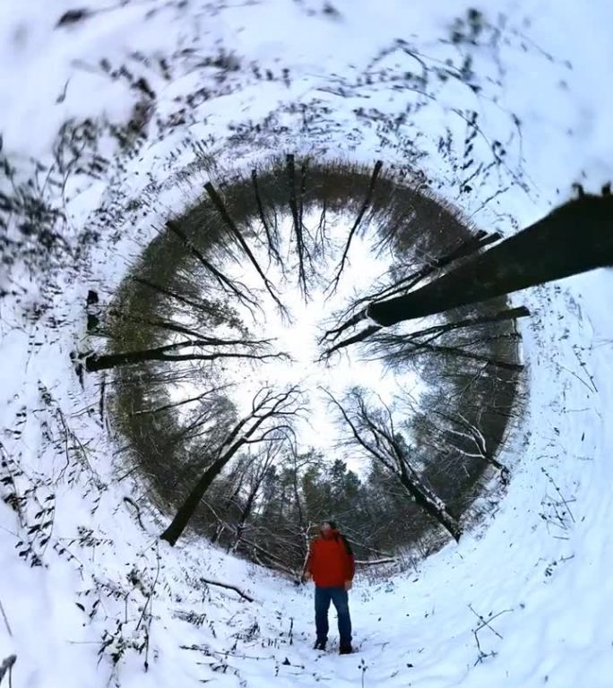 人在白雪皑皑的树林里迷路了。