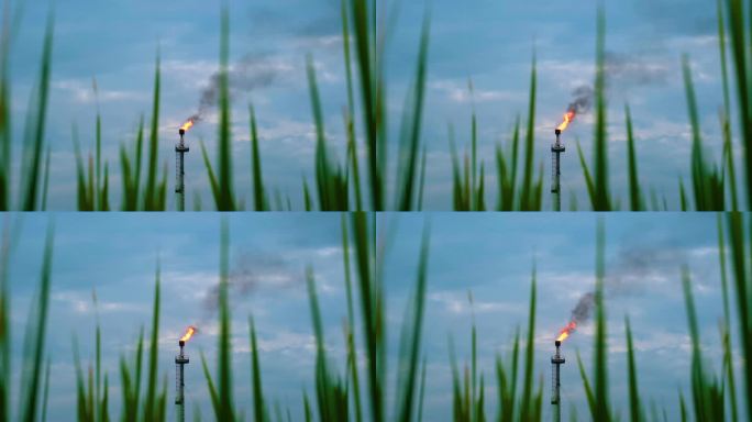 从油田或气田的草丛中可以看到烟囱塔上的燃气燃烧火焰。环境污染和全球变暖的概念
